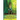 The King's Shadow