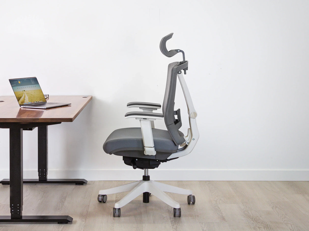 AeryChair Ergonomic Office Chair by EFFYDESK by Level Up Desks