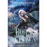Born at Dawn: An Upper YA Fantasy Adventure Begins