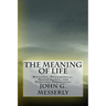 The Meaning of Life: Religious, Philosophical, Transhumanist, and Scientific Perspectives