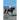 Horse Tales: True Stories from an Idaho Ranch