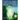 Haunted Skies Volume 9