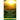 Grace and Truth; Under Twelve Different Aspects: Christian Lessons on Being Born Again, the Holy Spirit, God's Forgiveness of Sins, and How to Serve t