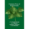 Common Trees Of Pennsylvania