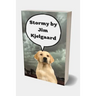 Stormy by Jim Kjelgaard: Winter in the Beaver Flowage was always harsh, with deep snow, bitter winds, and zero temperatures the rule rather tha