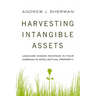 Harvesting Intangible Assets: Uncover Hidden Revenue in Your Company's Intellectual Property