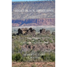 Right Place, Right Time: The Journey of a Pueblo of Laguna Native