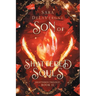 Son of Shattered Souls: Book Two in the Shattered Trilogy