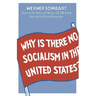 Why Is There No Socialism in the United States?