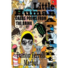 Little Human Accidents: Chaos Poems from the Brink