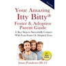 Your Amazing Itty Bitty Foster & Adoptive Parent Guide: 15 Key Steps to Successfully Connect With Your Foster Or Adopted Teen