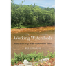 Working Watersheds: Water and Energy in the Lackawanna Valley