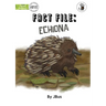 Fact File: Echidna - Our Yarning