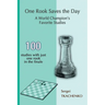 One Rook Saves the Day: A World Champion's Favorite Studies