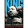 King: Pilgrimage to the Mountaintop