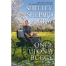 Once Upon a Buggy