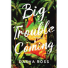 Big Trouble Coming: An accidental adventure of love and mayhem in Sri Lanka