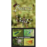 A Field Guide to Insects of the Pacific Northwest