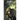 Automata