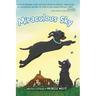 Miraculous Sky