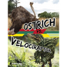 Ostrich vs. Velociraptor