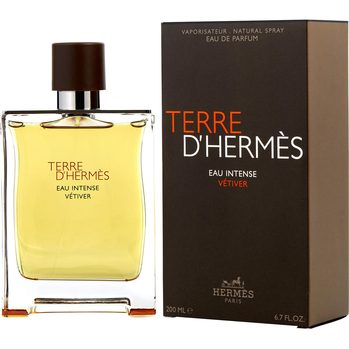 TERRE D'HERMES EAU INTENSE VETIVER by Hermes - EAU DE PARFUM SPRAY 6.7 OZ - Men