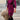 33e44339-52b5-4329-9ec5-dd2571d76945-Max