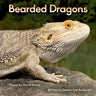 Bearded Dragons