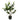 38 Inch Artificial Camellia Tree Faux Flower Plant in Cement Pot-White