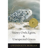 Snowy Owls, Egrets & Unexpected Graces