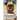 Brussels Griffon: Everything You Need to Know About Brussels Griffon: Brussels Griffon Dog Breed Pictures