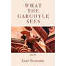 What the Gargoyle Sees
