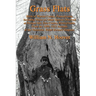 Grass Flats: Birds of Warren County, Pennsylvania, Including Notes on Other Species Observed at Presque Isle, Erie County, Pennsylv