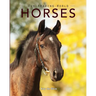 Horses: Amazing Pictures & Fun Facts on Animals in Nature