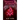 Phoenix of Scarlet: YA Dark Fantasy Adventure