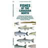 Fishes of the Canadian North: A Folding Guide to Native and Introduced Freshwater Species of the Northwest Territories, Nunavut and Yukon