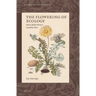 The Flowering of Ecology: Maria Sibylla Merian's Caterpillar Book