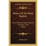 History Of The Welsh Baptists: From The Year Sixty-Three To The Year 1770 (1835)