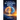 The Future of the AI-Powered Brain: Neural Upgrades, Digital Minds & Human 2.0