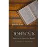 John 3: 16: For God So Loved the World