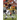 The Game Changer: Faith, Football, & Finding Your Way