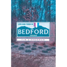 Life and Times in Bedford, Virginia