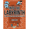 Into the Labyrinth: An Amazing Maze Challenge Adult Activity Book