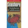 Seashore of Southern California