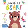 How Big Is a Bear?