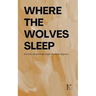 Where the Wolves Sleep And Other Bilingual Polish-English Stories for Beginners