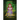 Kiara: A lost princess