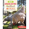 DIY Chicken Keeping from Fresh Eggs Daily: 40+ Projects for the Coop, Run, Brooder, and More!