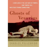 Ghosts of Vesuvius: A New Look at the Last Days of Pompeii, How Towers Fall, and Other Strange Connections