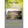 Big Trouble on Hog's Back Hill